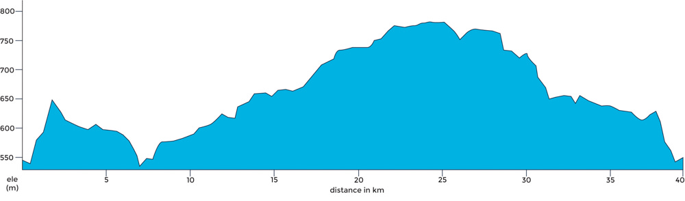 Graph of a 40 km ride profile in Daylesford