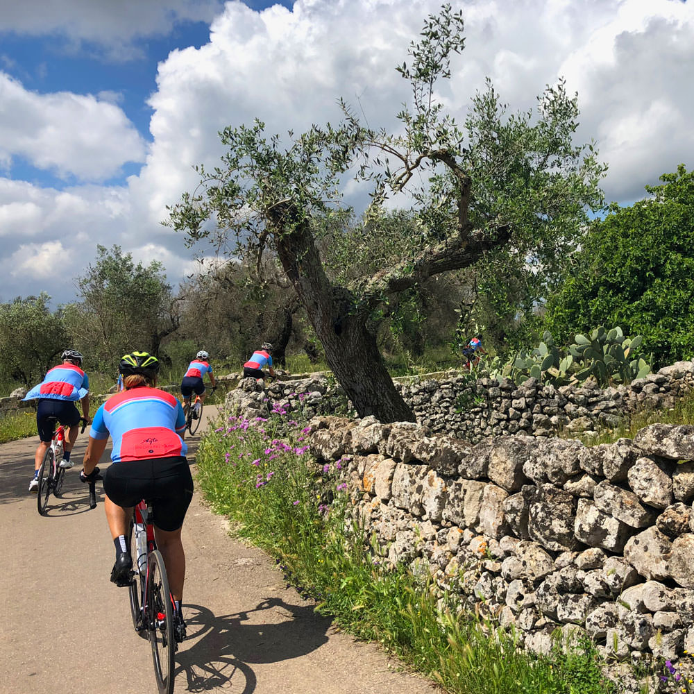 A qto italian cycling tours holidays guided cycling tours of italy
