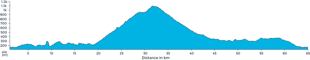 Ride Profile of the Muro di Sormano