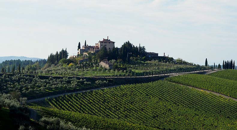 a tuscan villa surrounded by vineyards and olive groves