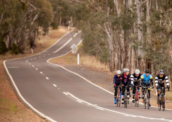Six riders rolling along the undulating country roads of Victoria