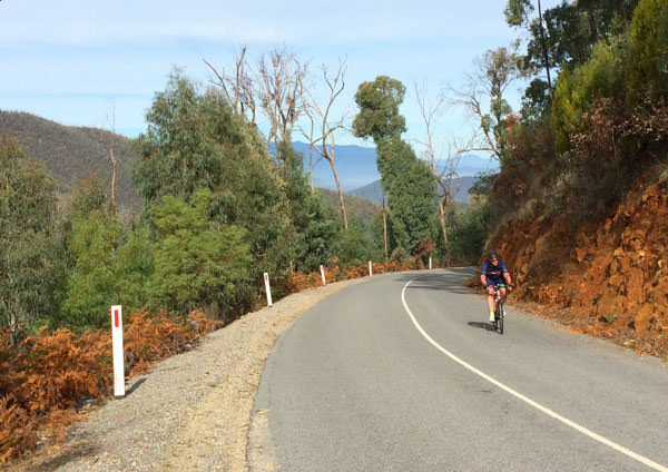 A man cycling in the Victorian Hills