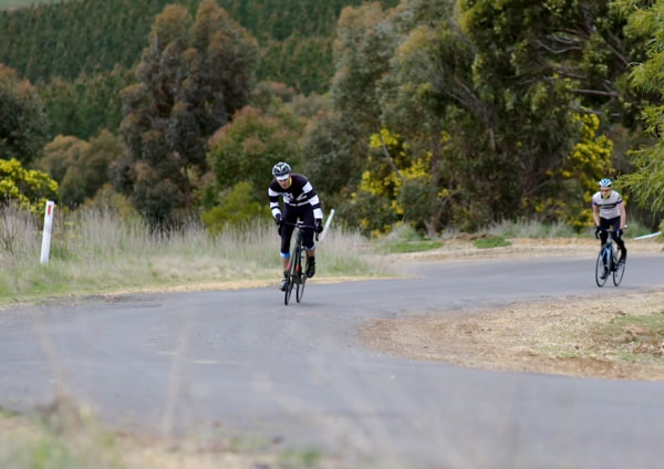 Two cyclist out of the saddle climbing up a hill