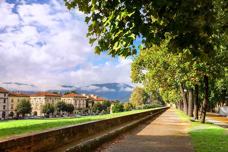 walking along the top of the wall around Lucca