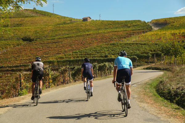 Three cyclists riding through the vineyards of Piedmont in Autumn
