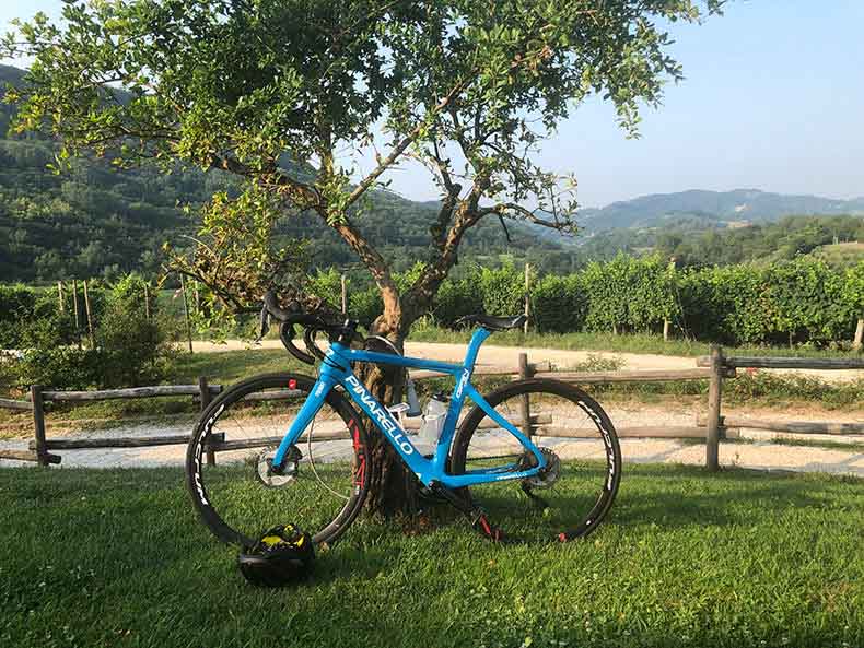 A pinarello hire bike leaning against a tree