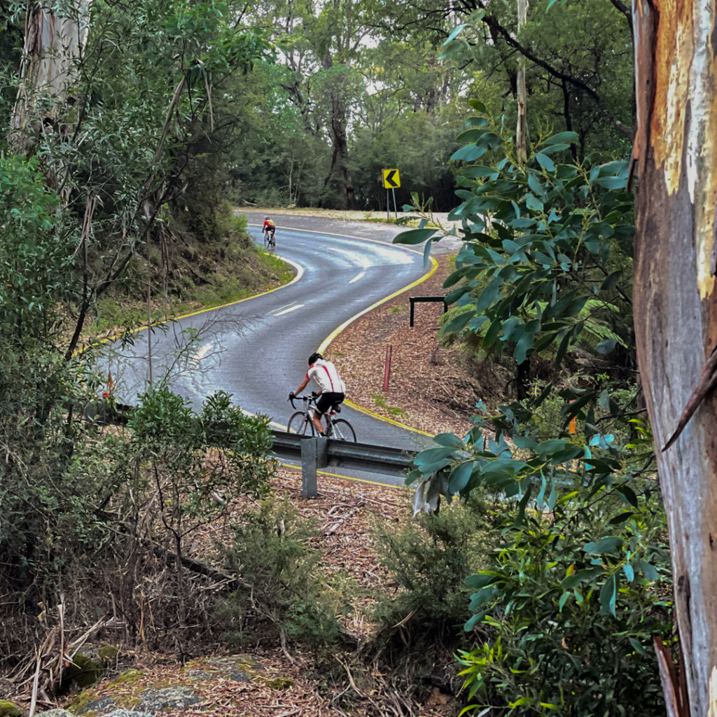 Cyclists riding up mt Buffalo