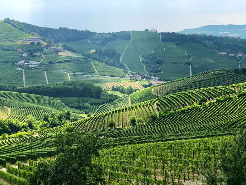 the landscape of Le langhe