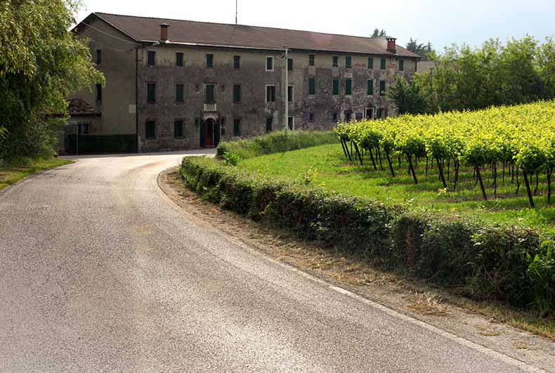 The Prosecco road in the Veneto