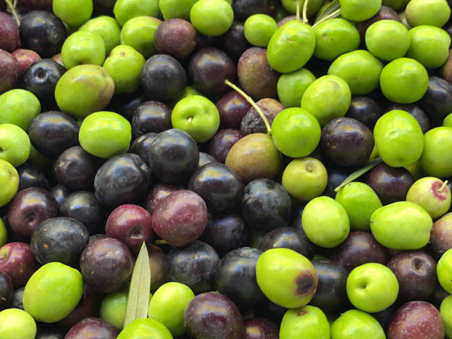 green and black olives