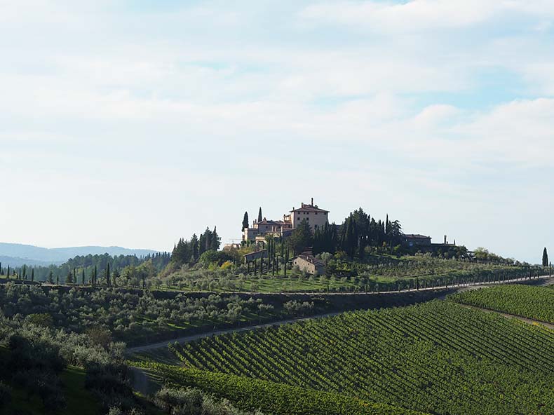 A tuscan landscape with villa, olive grove and vineyards