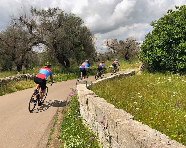 Cyclists riding along the quiet back roads of Puglia