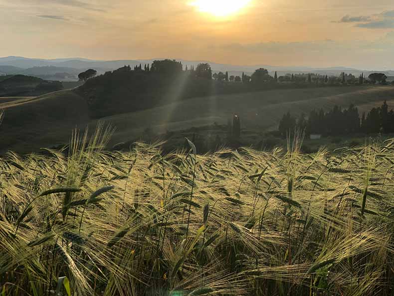 The tuscan landscape at sunset