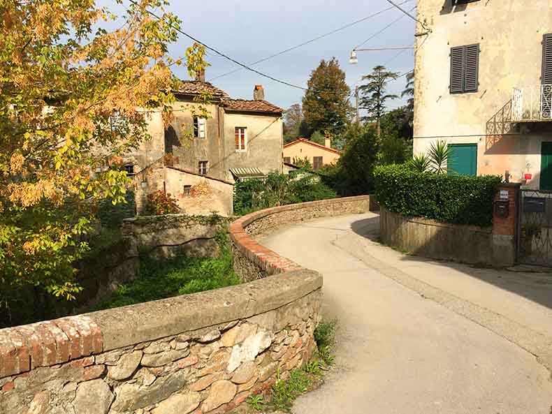 quiet country road around Lucca Italy