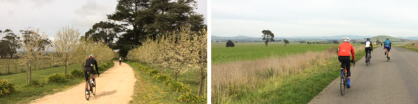 Cyclist riding in the Victorian countryside