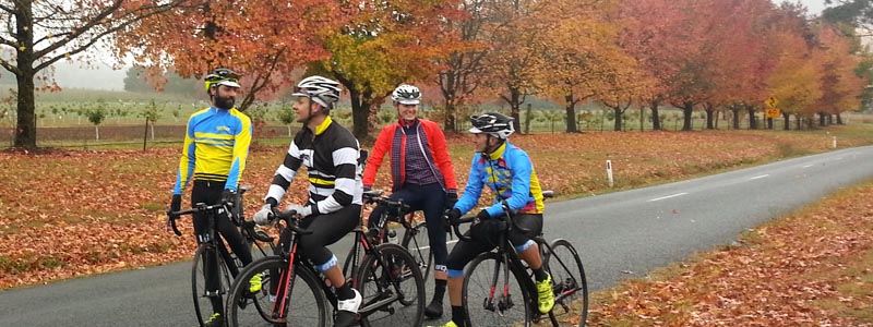A group of riders on a road full of orange and red leaves in Autumn