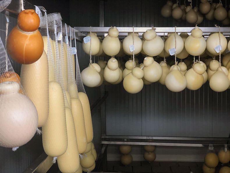 caciocavallo cheese hanging in a room
