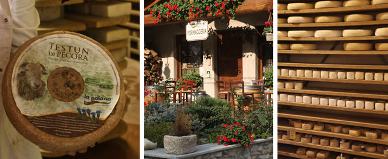 a cheese factory in Piemonte