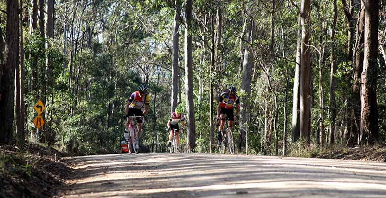 Cyclists riding on gravel near noosa