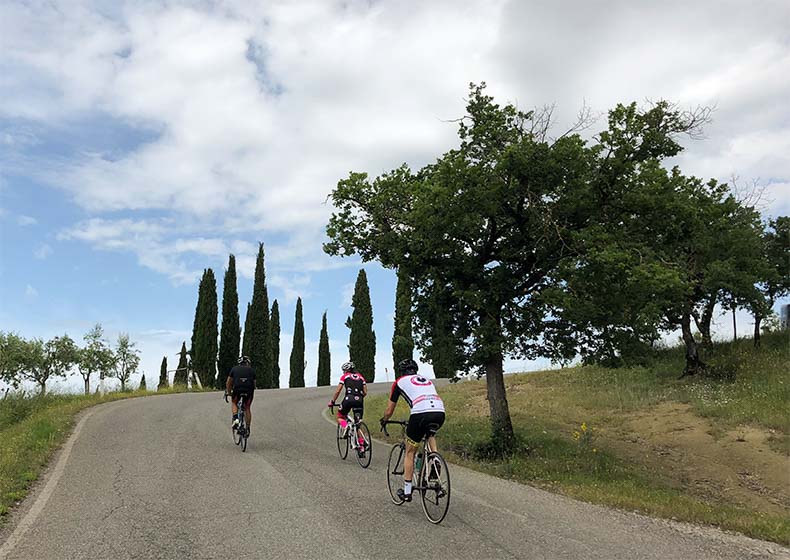 Three cyclists riding through the quintessential Tuscan landscape