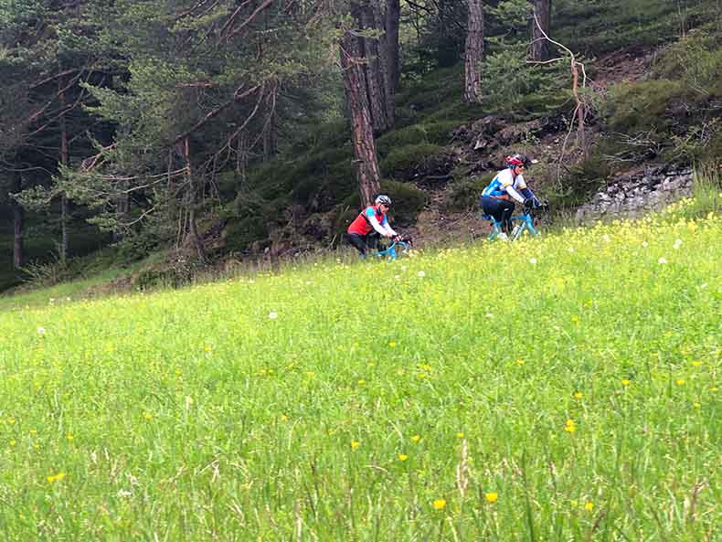 Two cyclists riding past a green alpine pasture