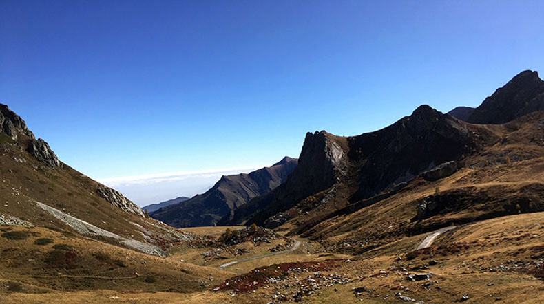 Colle fauniera in Autumn