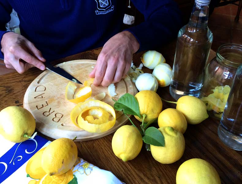 trimming lemons to make lemoncello