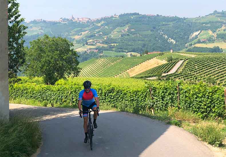 A cyclist riding through the vines of le Langhe