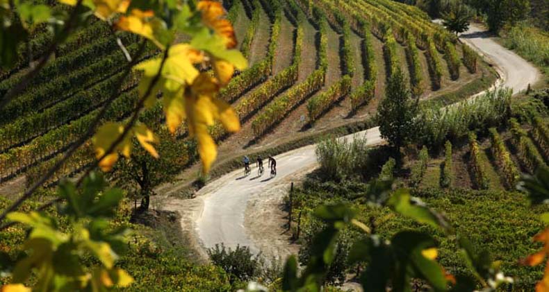 cyclists riding in Piemonte