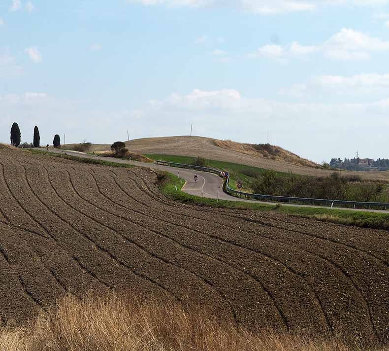 A winding road with three cypress pine trees in Tuscany