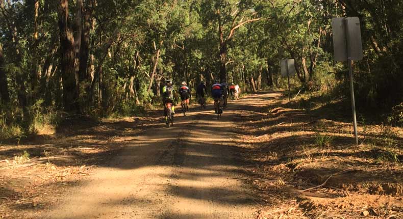 a group of cyclist riding on gravel in Gippsland