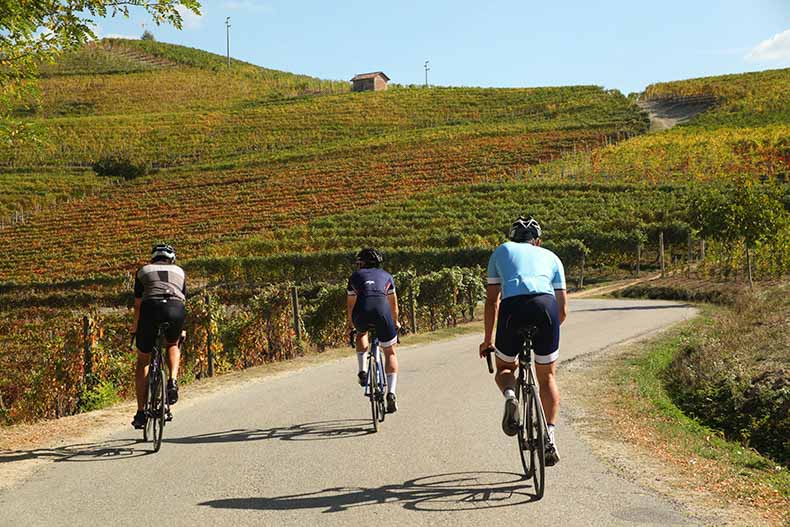 Three riders cycling amongst the vines of Piemonte