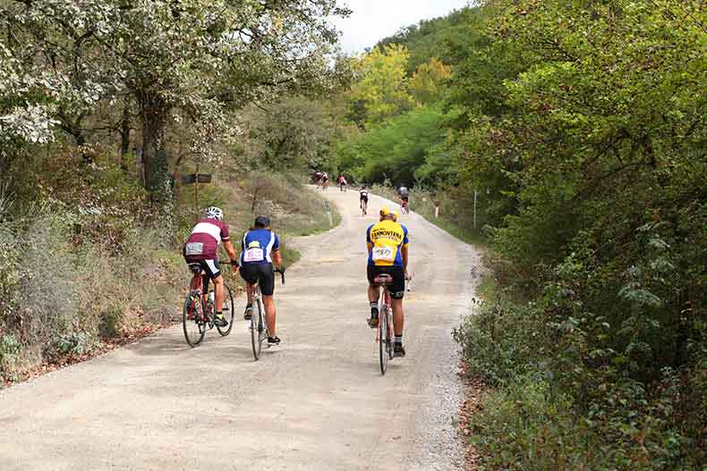 Three riders cycling along a gravel road in Tuscany during L'Eroica