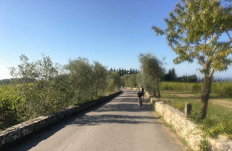 A man cycking trough an olive grove in Tuscany