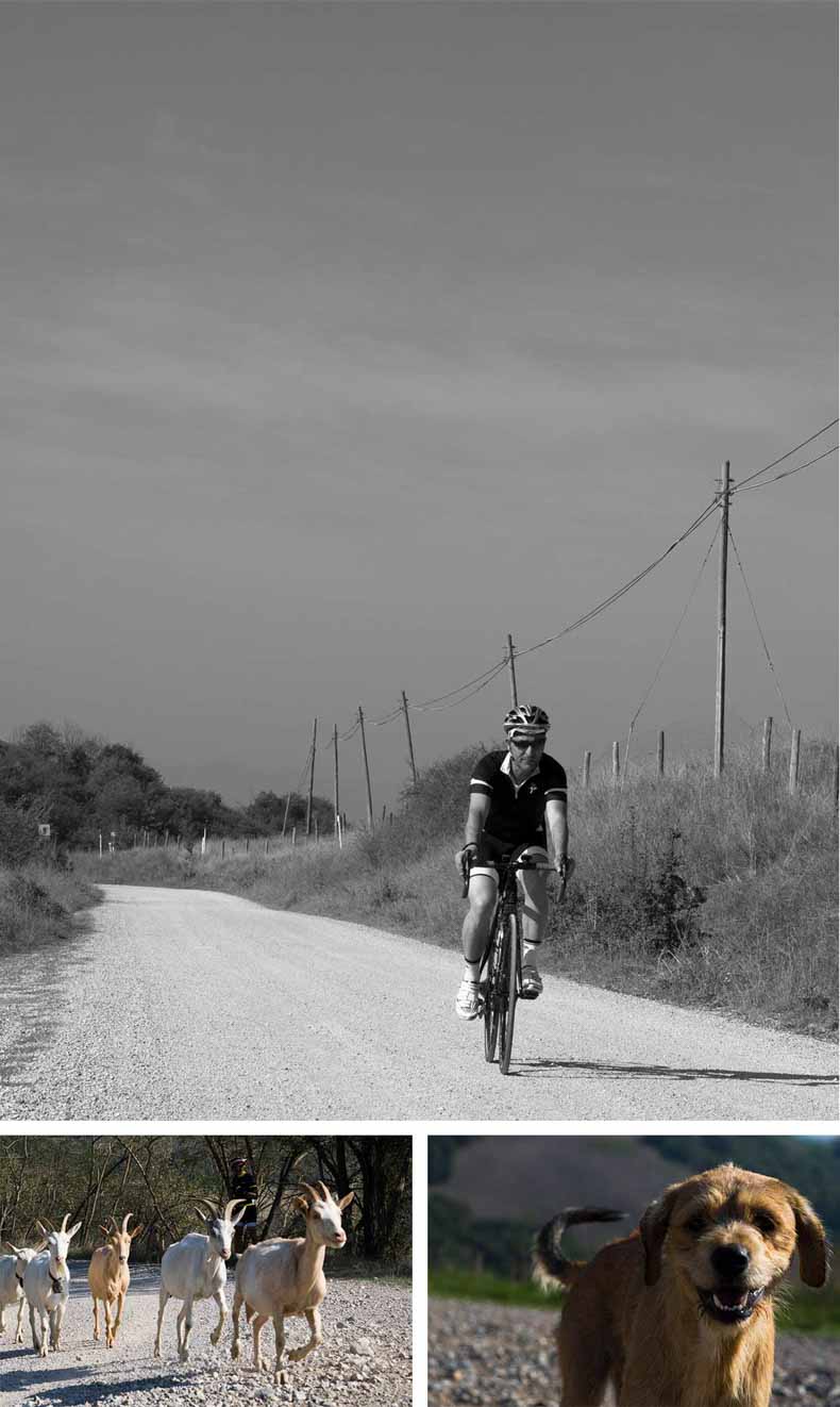 A collage of photos from a cycling holiday in Tuscany