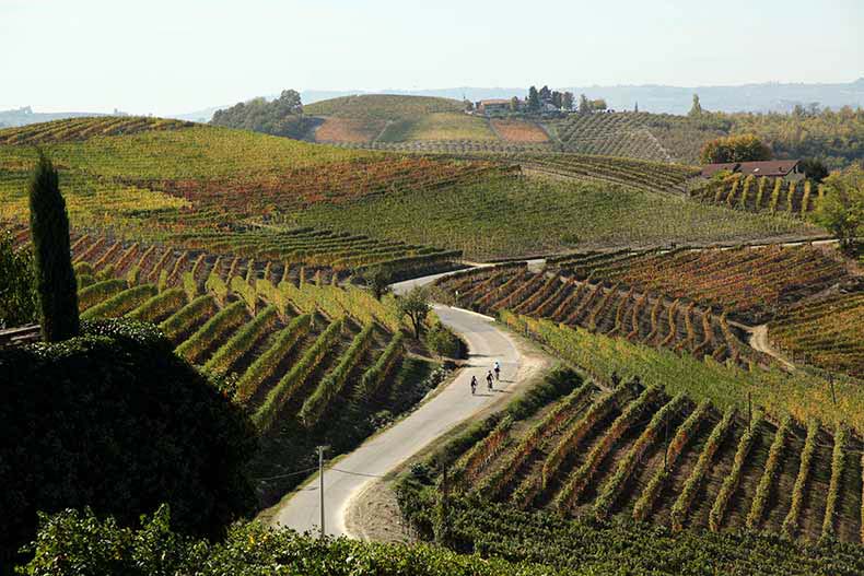 people riding on a winding road in Piemonte