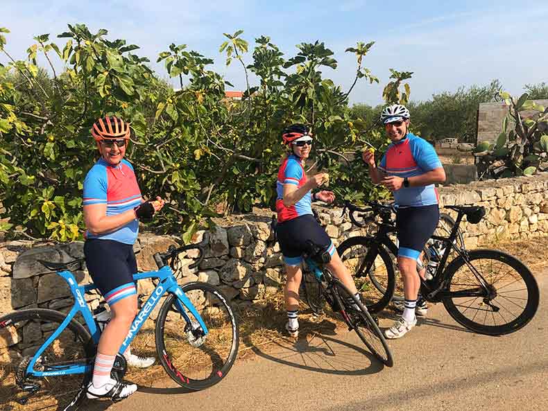Three riders picking figs from a tree during a cycling holiday in Pugliua