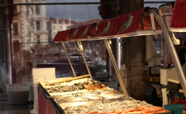 A display counter full of seafood at the Venice seafood market