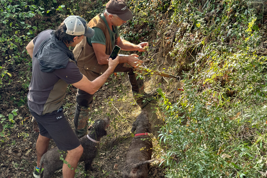 two men searching for Tuscan white truffles