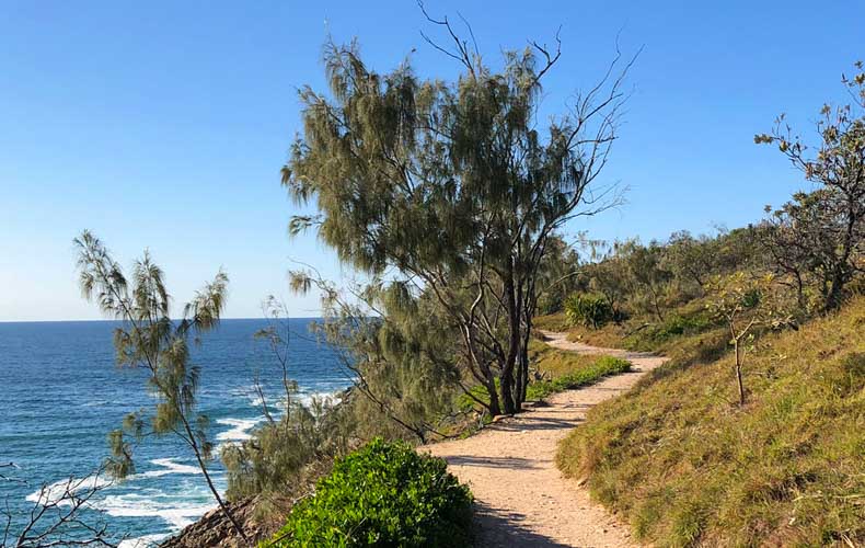 the walking path in the Noosa National park