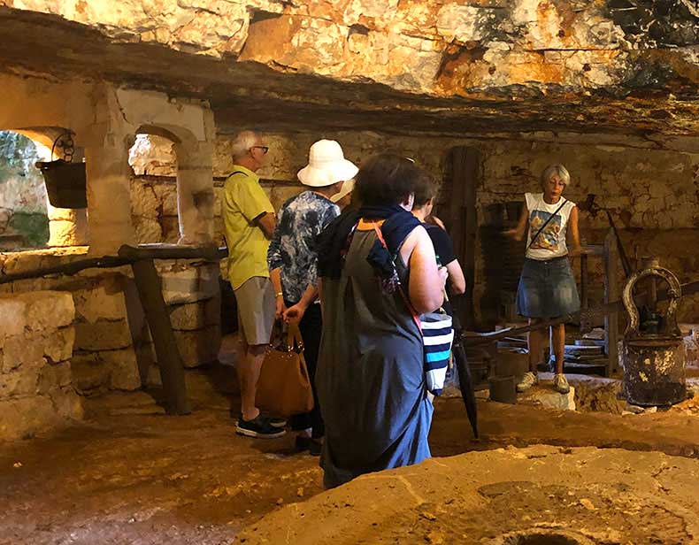 People on an Olive oil tour in Puglia