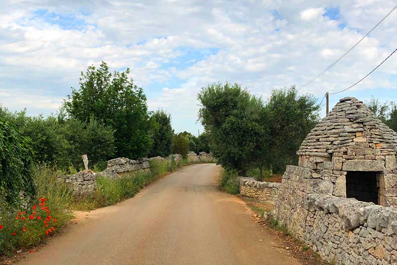 A quiet road in Puglia lined with little stone trulli and old olive trees