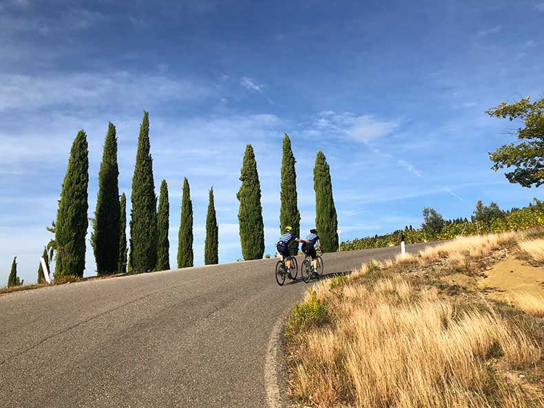 Two riders cycling up a hill lined with cypress pine trees in Tuscany