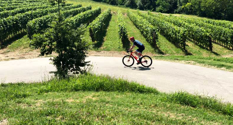 a cyclist riding past grape vines in Italy