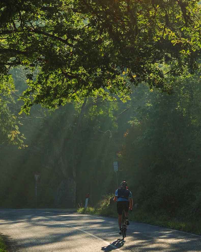 a man cycling in the green forests of Chianti with sunshine streaming through the leaves