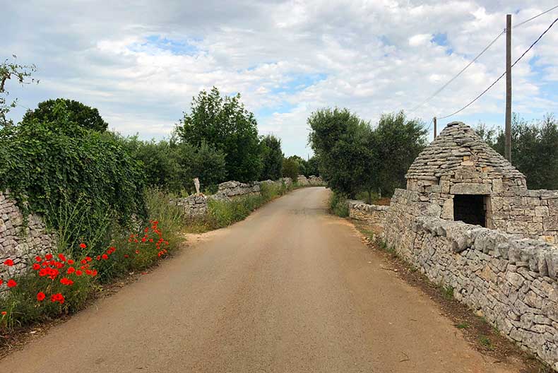 A quiet back road in Puglia