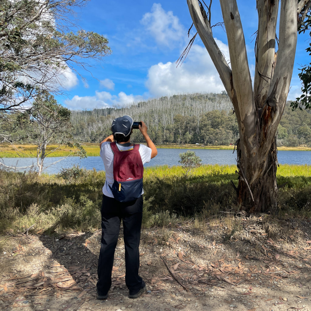 A woman taking a photo of a tree on Mt Buffalo