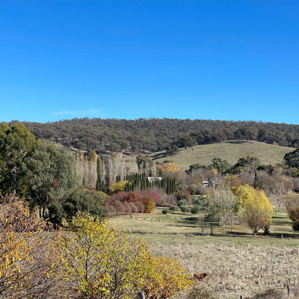 The Hepburn Springs countryside