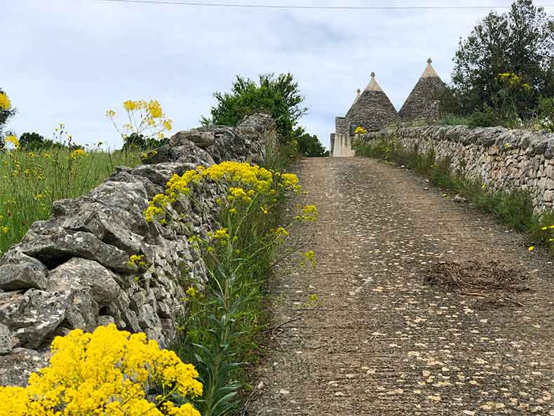A flower and rock lined driveway to a Trulli in Puglia