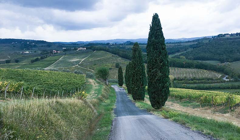 A road cutting through the landscape in Tuscany
